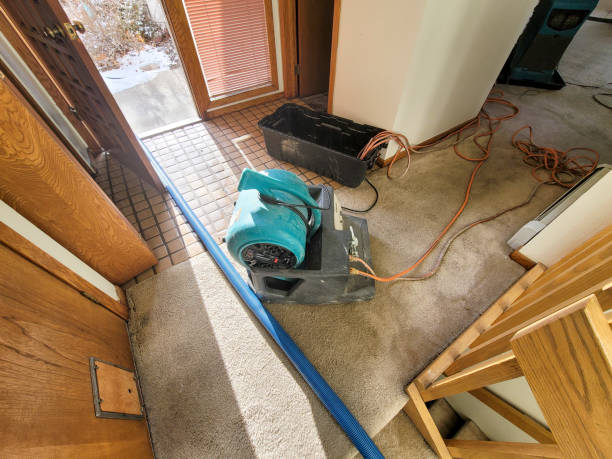 Best Local water damage restoration  in Fort Sumner, NM