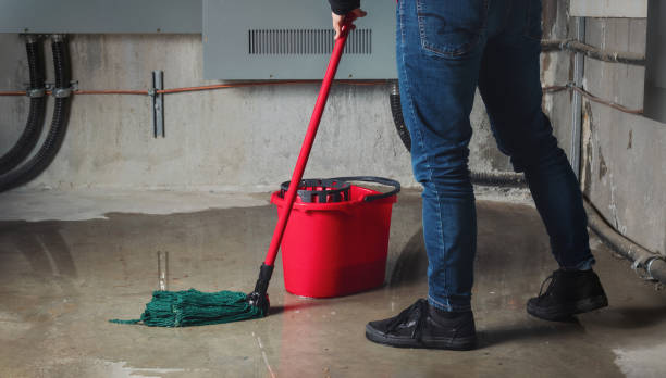 Best Professional water damage repair  in Fort Sumner, NM