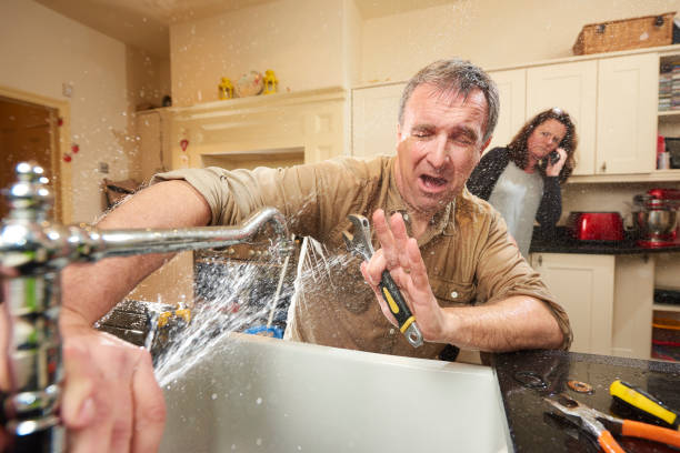 Best Carpet water damage restoration  in Fort Sumner, NM